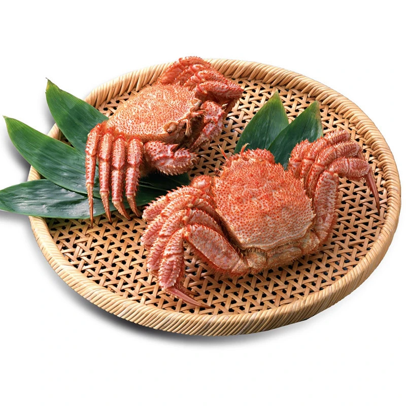 【直播间】【红毛蟹】深海捕捞