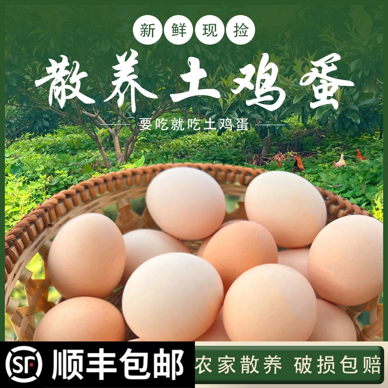 新鲜农家散养土鸡蛋柴鸡蛋营养健康初生蛋