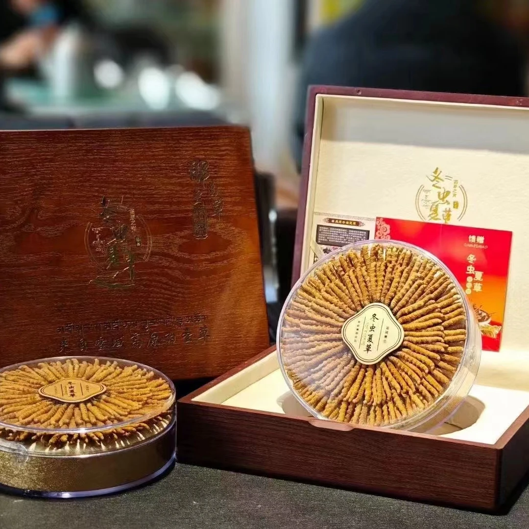 精品冬虫夏草小黄芽短把西藏那曲比如头茬新货送礼佳品