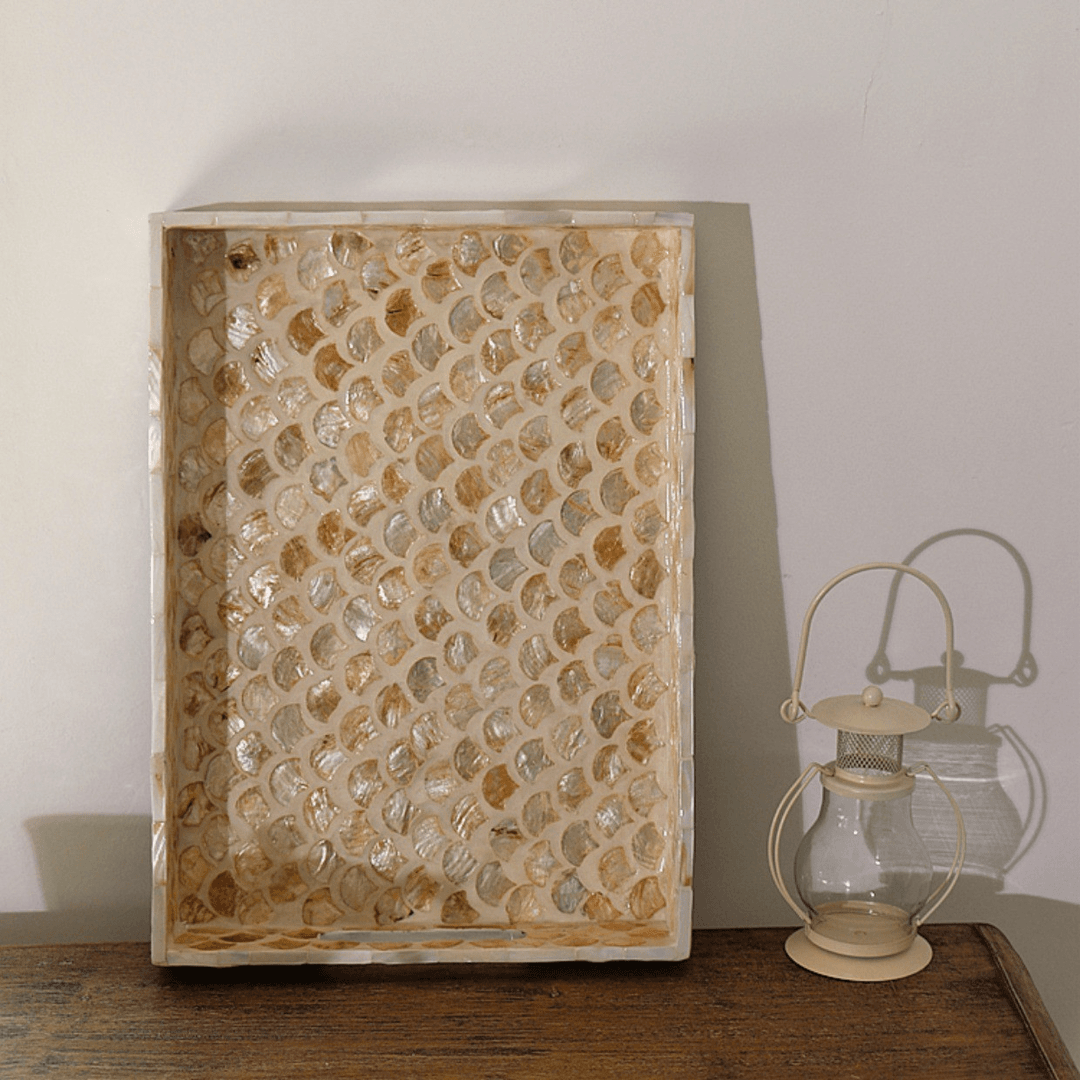 ins北欧越南手工彩贝壳果盘茶盘置物盘创意装饰摆件首饰收纳托盘