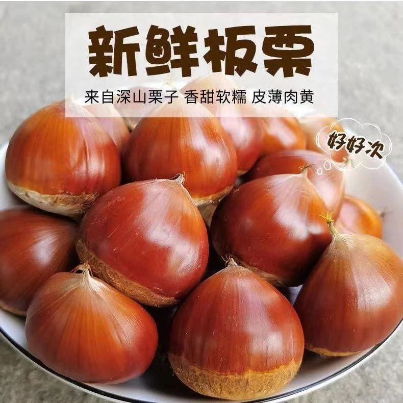 丹东板栗2024新鲜栗子生板栗生嫩大板栗F【带箱5斤】