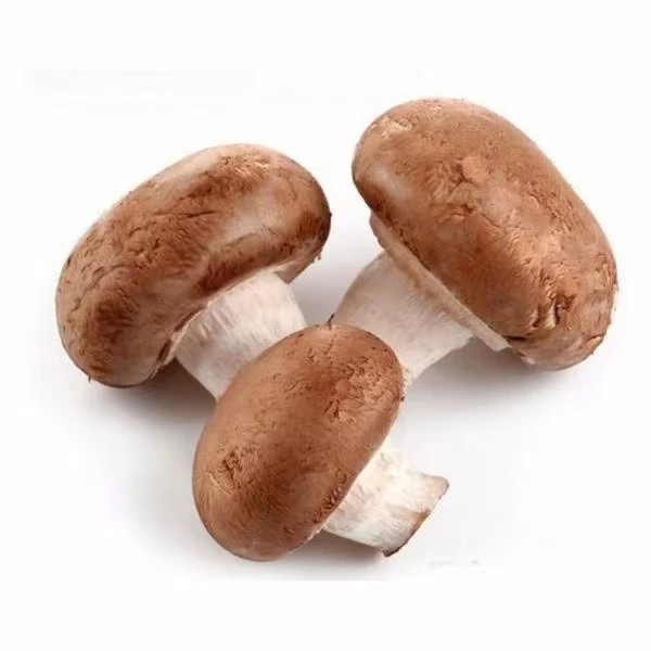 包装香菇一份300g