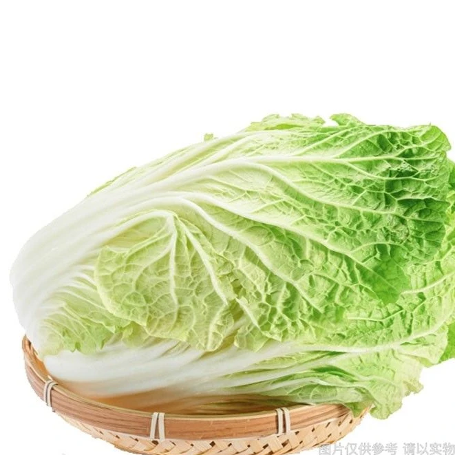 大白菜一份1500g