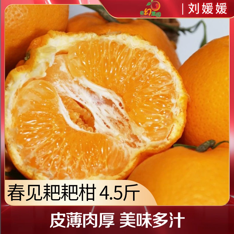 【万人超市年货团购】四川春见耙耙柑 4.5-5斤装
