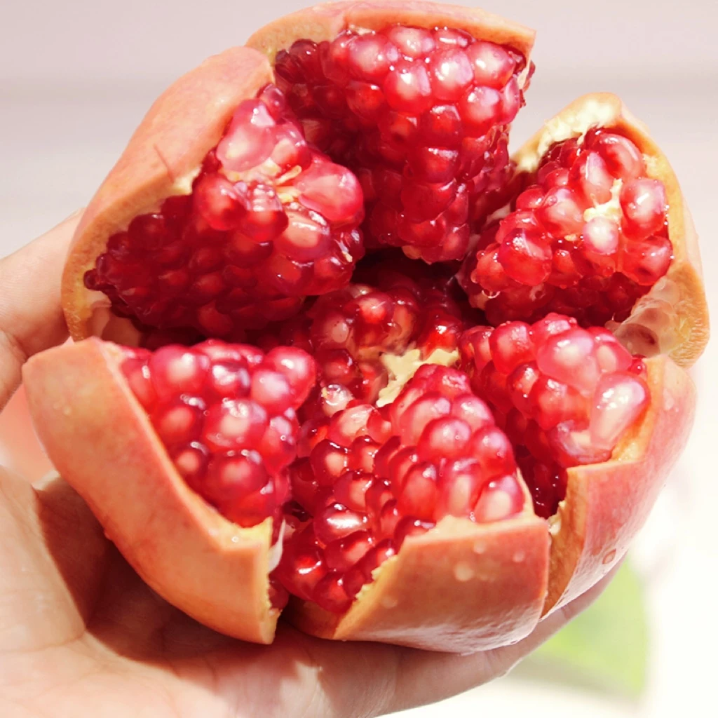 四川会理软籽石榴 4粒小果装 单果250g+