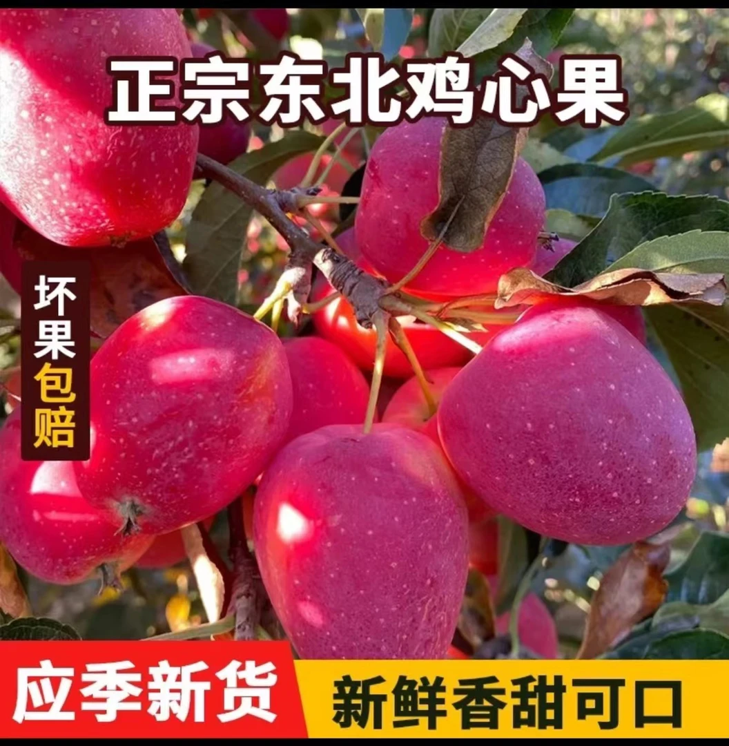 东北鸡心果脆甜山地小苹果锦绣海棠果新鲜应季酸甜脆沙果