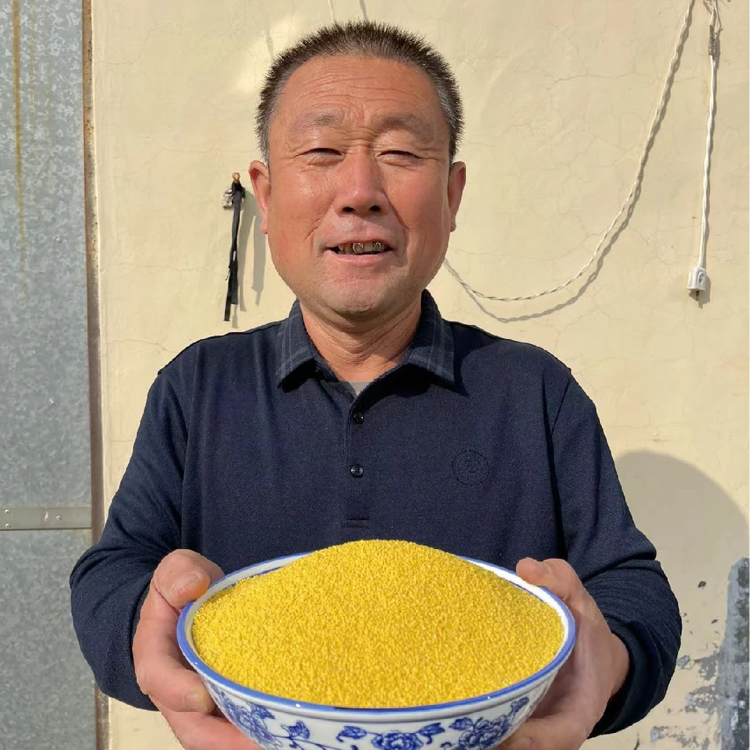 【三姐专属】2025新小米天山小米 山地小粒米5斤装