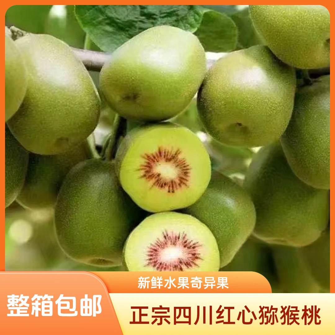苍溪正宗红心猕猴桃奇异果整箱包邮精品好吃送礼老爷爷家特大10斤