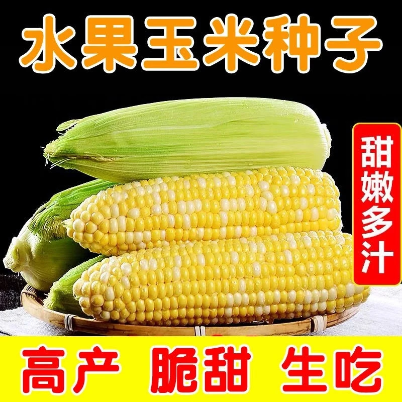 甜玉米黏玉米糯玉米水果玉米增甜剂甜蜜素增加甜度增加口感正品
