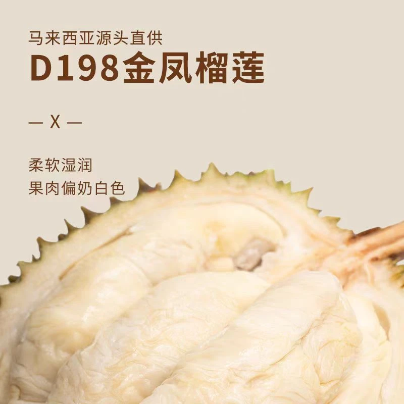 马来西亚D198金凤榴莲