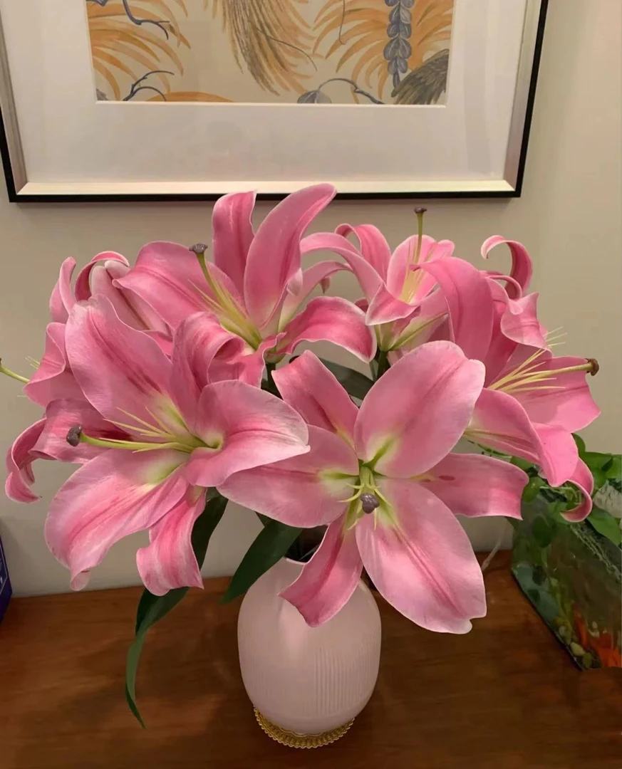 【初見】粉天使 普拉芬多 香水百合香味百合家庭水养云南优质鲜切花