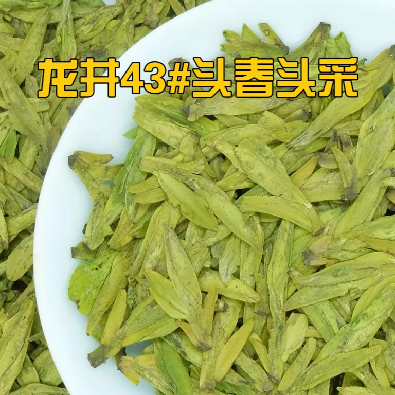 龙井43#2024新茶头春头采浙江明前龙井豆香型绿茶春茶