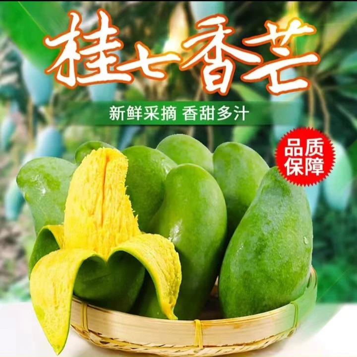 海南广西百色田东桂七香芒桂七芒果新鲜水果产地现摘现发坏果包赔