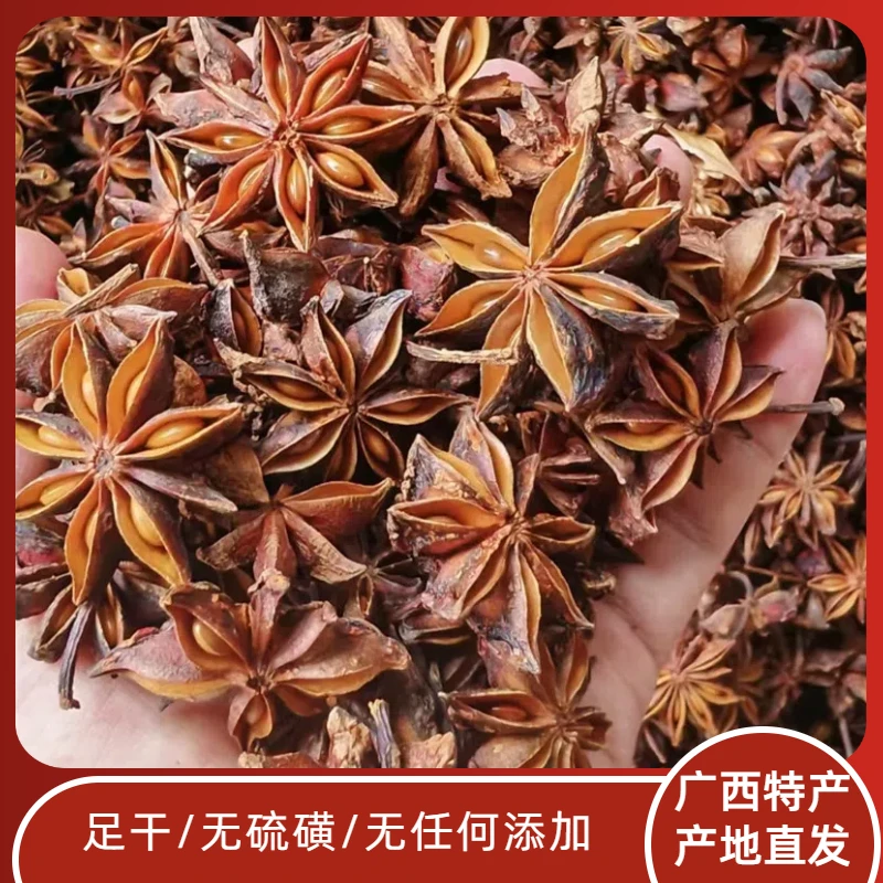 【老树秋大红八角大料】正宗产地广西优质足干无硫无添加调味料香料