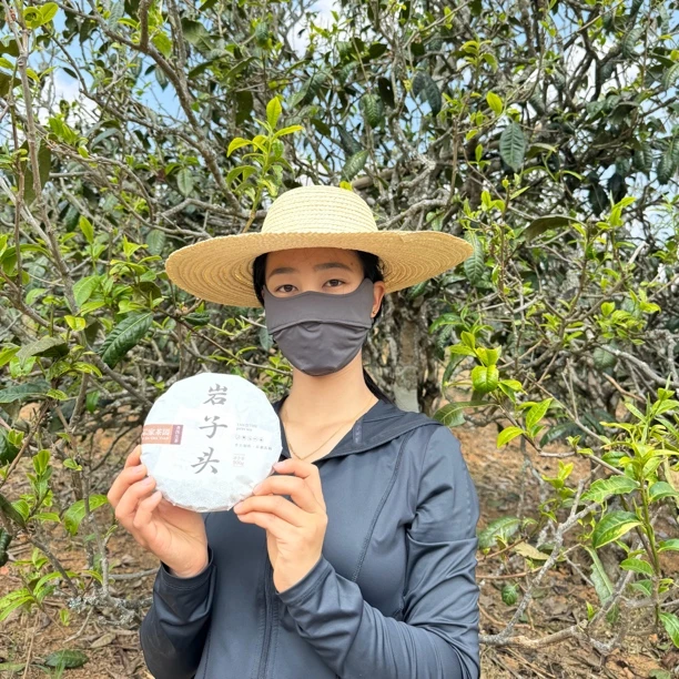 【私家茶园】古树挑采 300年左右挑采古茶 200g香甜 普洱茶 生茶