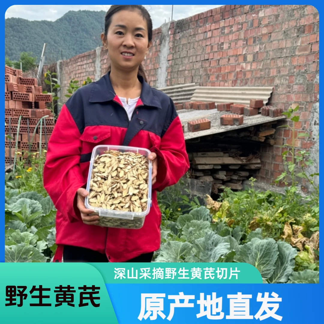 【野黄芪侧枝小片】甘肃岷县深山多年老黄芪侧枝小片