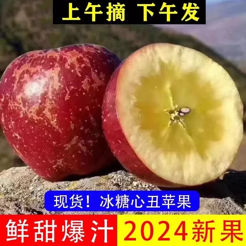 正宗四川凉山冰糖心丑苹果盐源新鲜水果当季产地直发