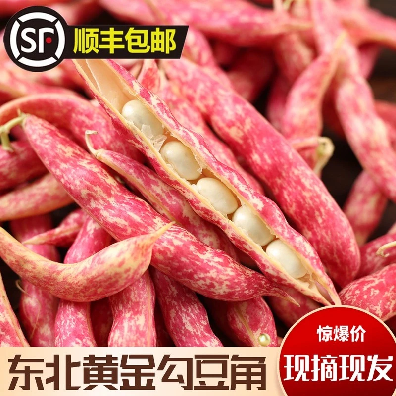 新开园红金勾豆角新鲜蔬菜现摘现发油豆角2斤 顺丰包邮