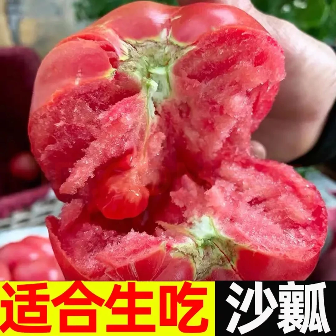 东北西红柿 沙瓤西红柿新鲜现摘番茄蔬菜水果 包邮