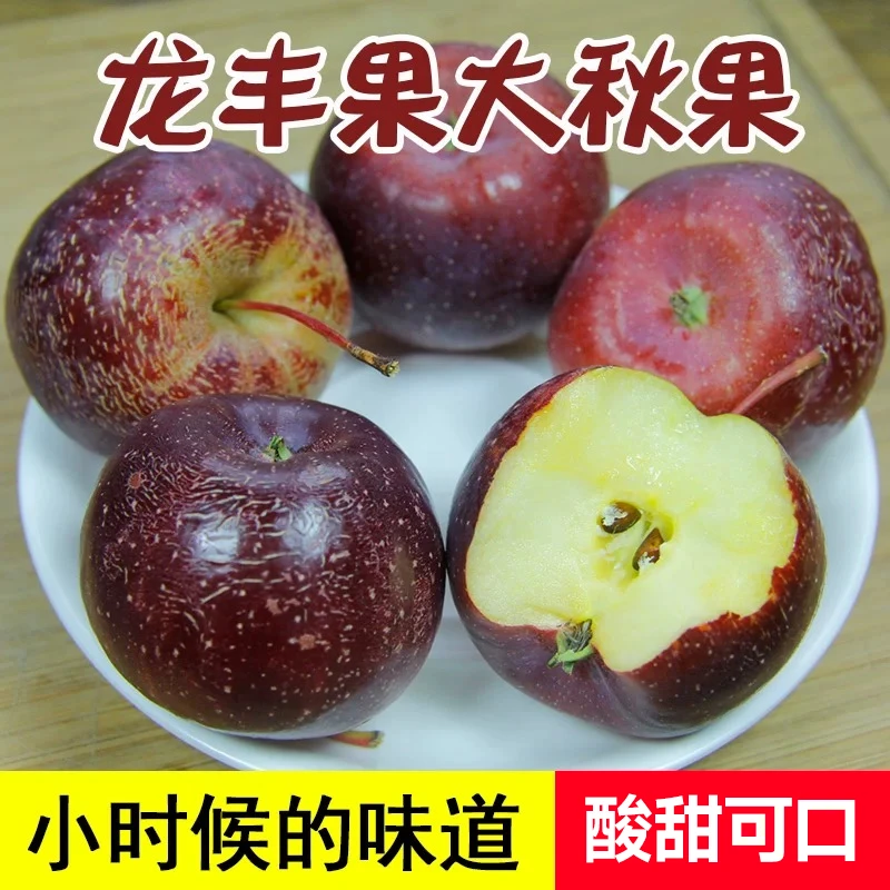 东北特产 龙丰果 大秋果 新鲜采摘酸甜可口 果味十足3斤 5斤 包邮