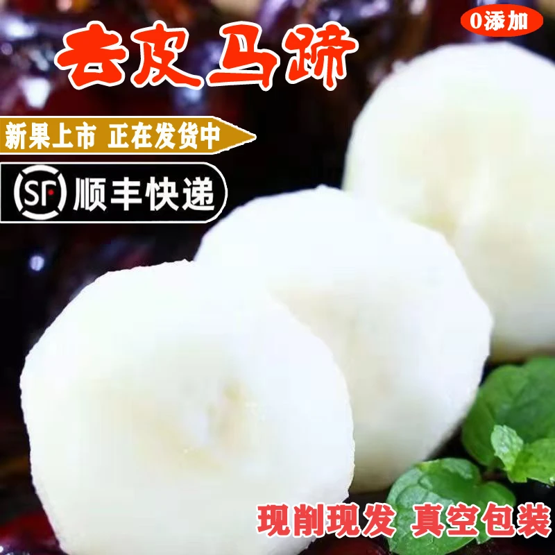 【去皮马蹄】顺丰发货新鲜大果现削去皮马蹄荸荠现削皮马蹄馄饨馅料
