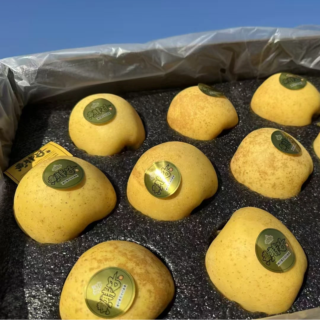 【恒泽优选】黄胖子黄金维纳斯苹果新产季（威海产区）