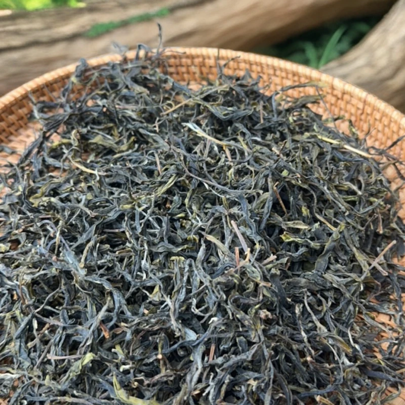 2024年困鹿山细叶生茶散