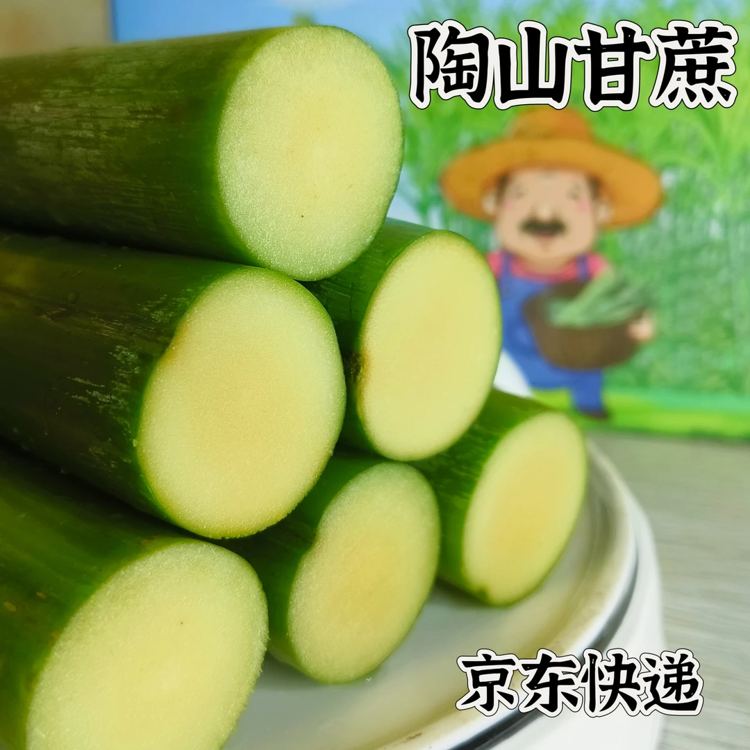 【3斤5斤】陶山青皮甘蔗应季当季水果温州特产整箱新鲜甘蔗