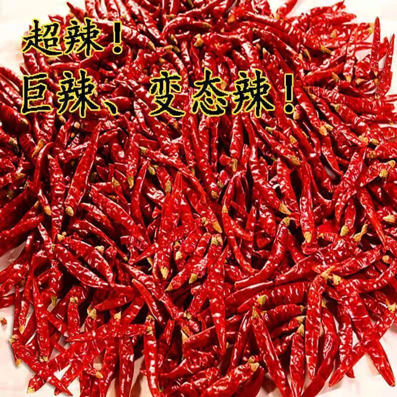 正宗晒干干辣椒特辣微辣正宗印度魔鬼辣厨房批发商用特辣足干辣椒