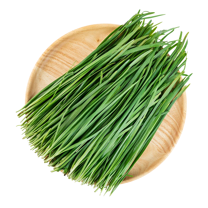 都悦韭菜 约200g/份【标】