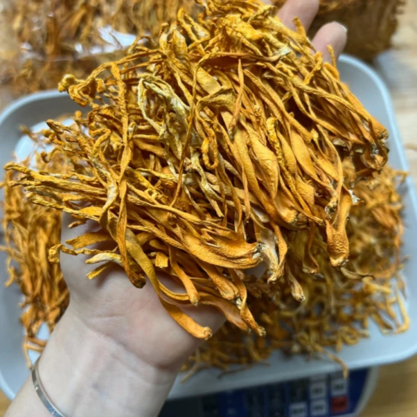 精选虫草花蒸鸡煲汤