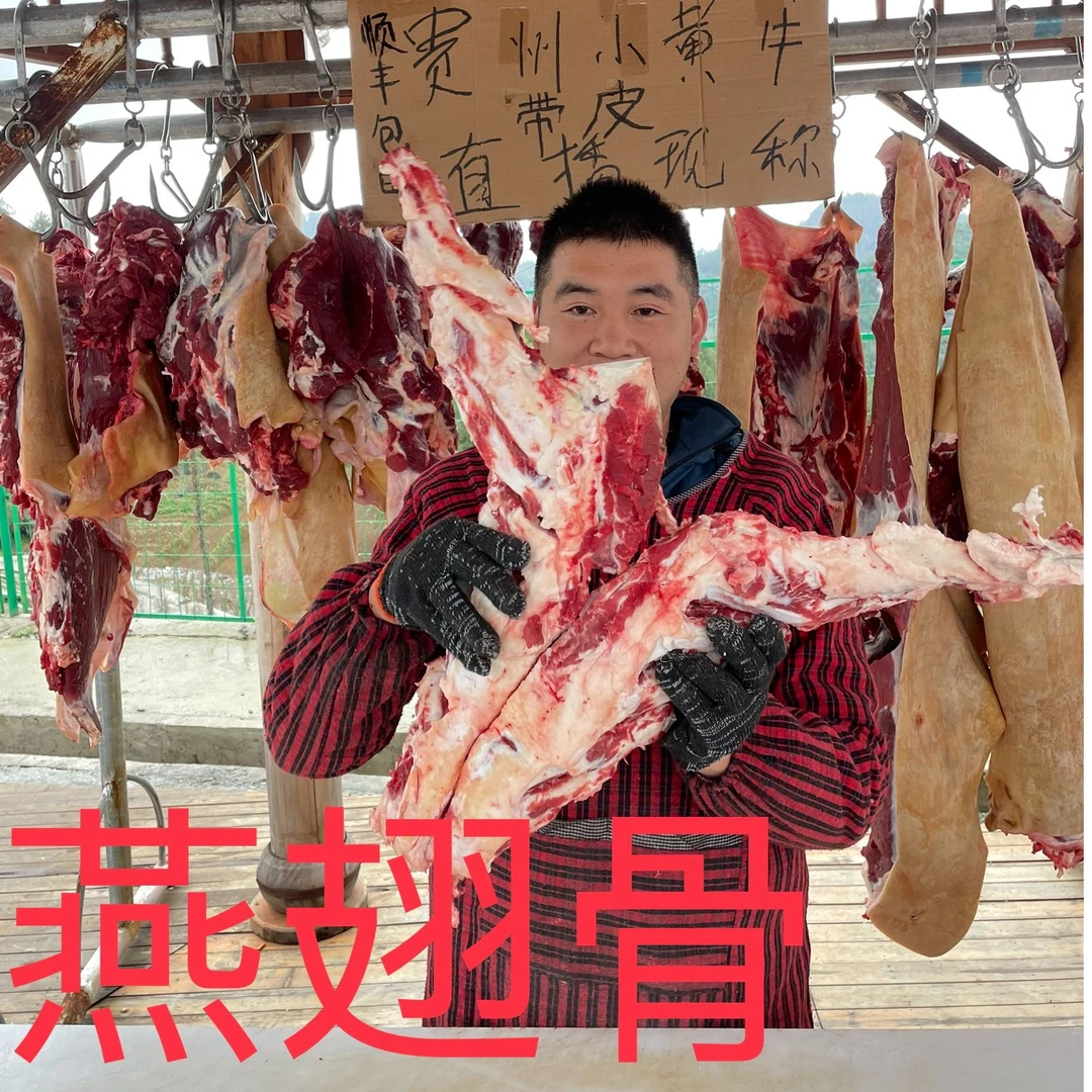【燕翅骨】贵州农村散养小黄牛燕翅骨 顺丰包邮