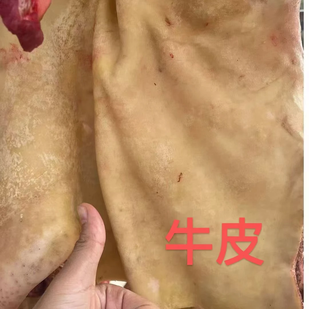 【牛皮福利】贵州农村散养小黄牛牛皮 顺丰包邮