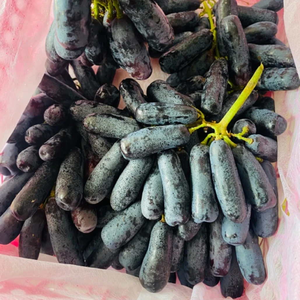 美人指葡萄净果3斤一筐