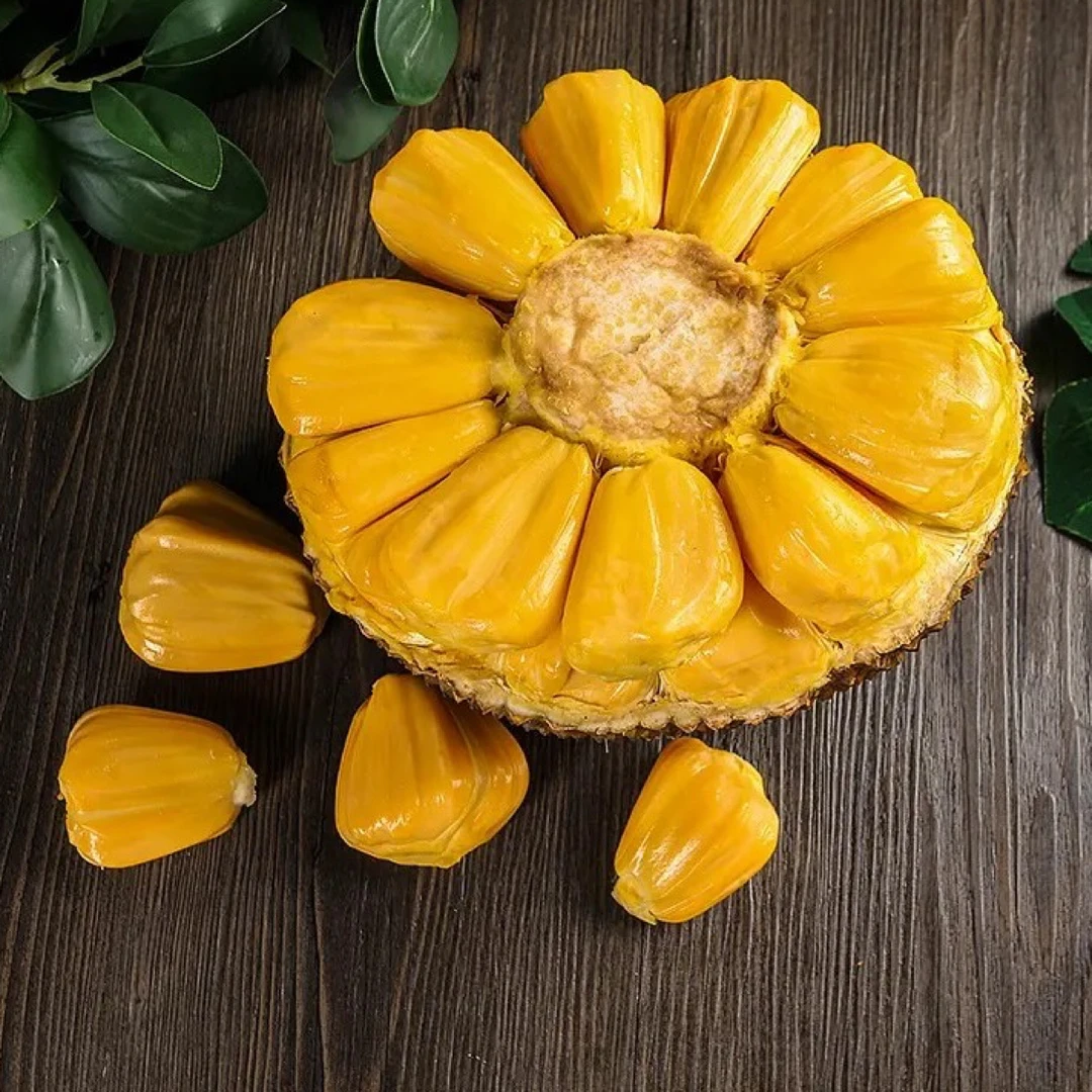 特级菠萝蜜 签收第一时间验果 签收24小时内包售后 介意勿下单