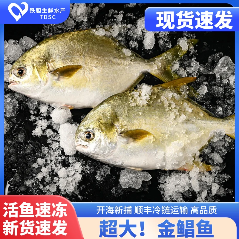 金鲳鱼到手5斤鱼（不帮杀）8-9两冰鲜野捕海鱼顺丰湛江海鲜特大鲳鱼