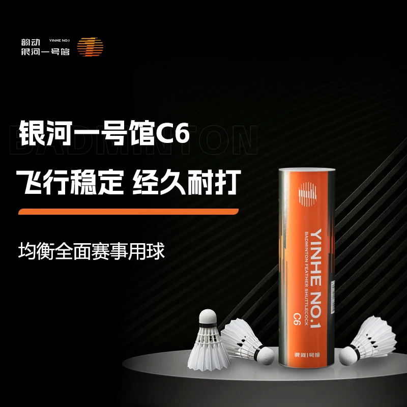 C6(6只装)银河一号羽毛球鹚鸪鸭一级全圆稳且耐赛事(类YY05)