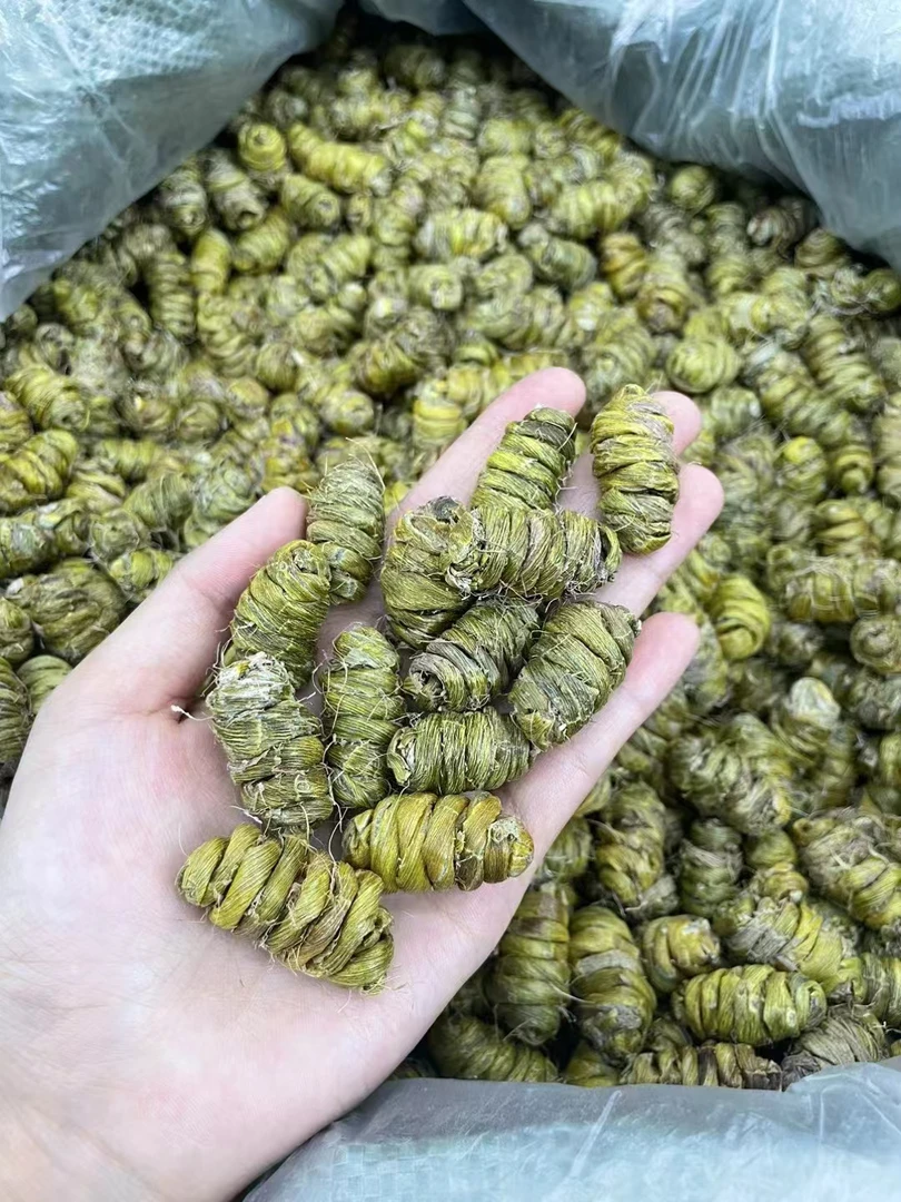 正宗霍山铁皮石斛高品