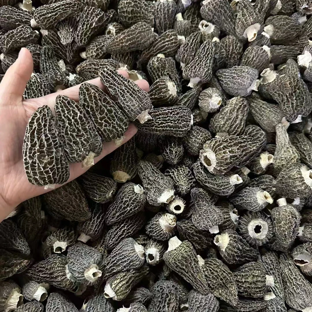 羊肚菌光帽货超级香