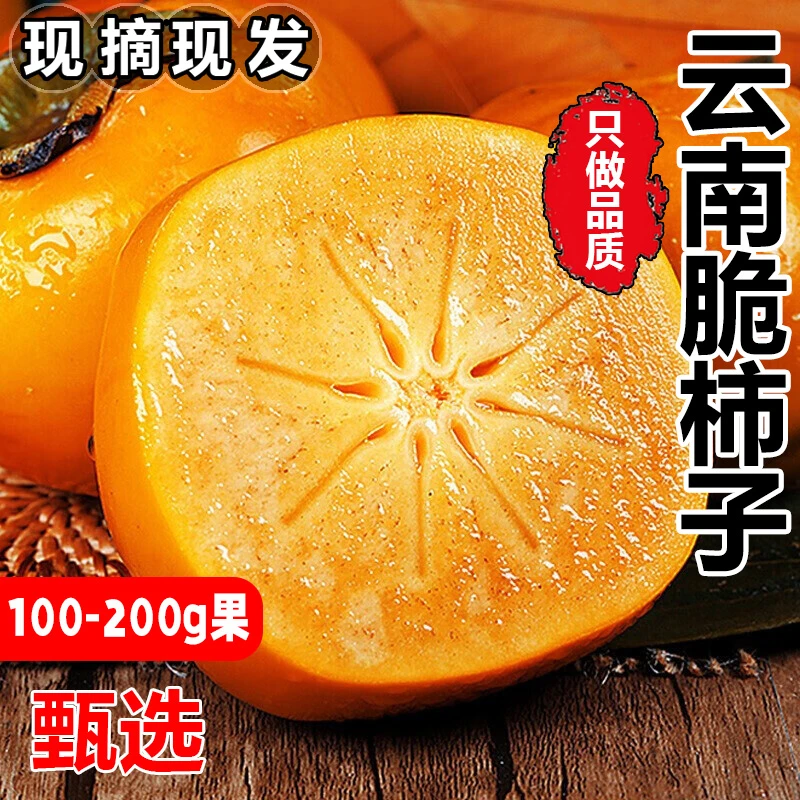 【正宗云南巧克力脆柿子】新鲜现摘水果脆甜柿子硬柿子收到即食包邮