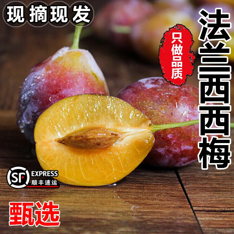 【顺丰冷链】新疆法兰西西梅新鲜现摘孕妇水果喀什女神甜西梅甜李子