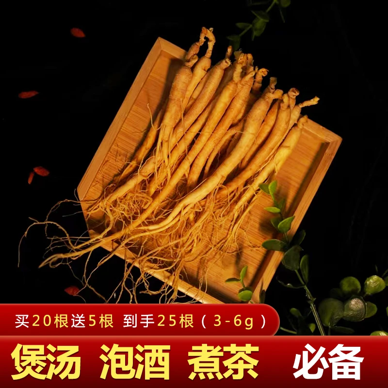 每根3-6克精品保鲜人参