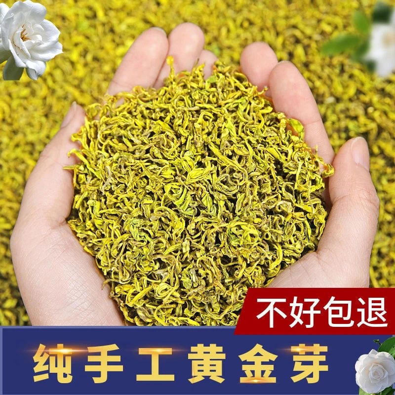 揉捻黄金芽2023年春茶新茶板栗香浓香耐泡口粮茶茶叶罐装送礼