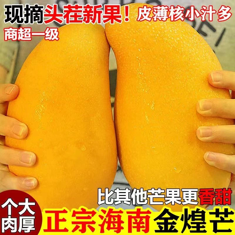 【海南直发】海南金煌芒5/8斤装 新鲜热带水果 皮薄肉厚 坏果包赔