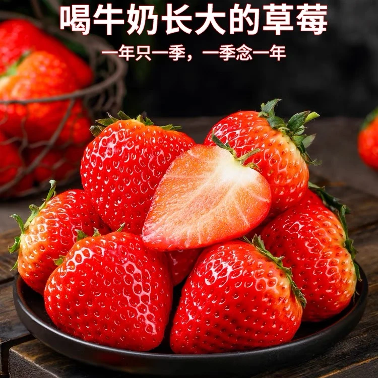 【恋爱 99】丹东99草莓牛奶草莓250克15头3盒装