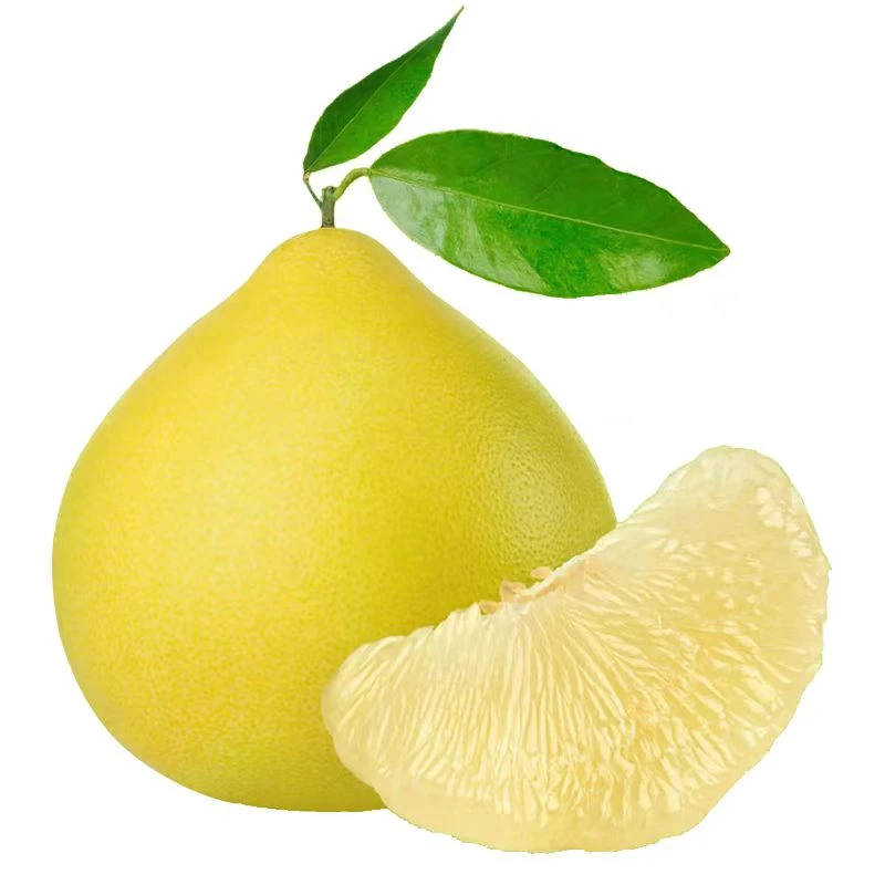 广西白心柚子酸甜微苦微干花皮果