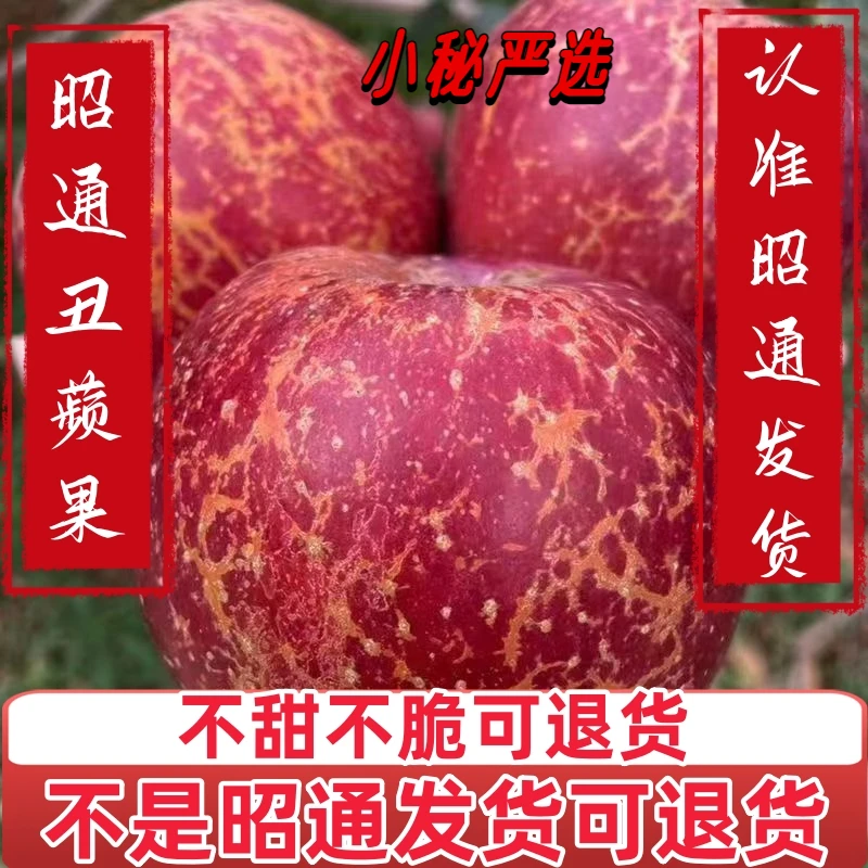 昭通丑苹果产地直发冰糖心丑苹果红富士糖心丑苹果原生态新鲜脆甜