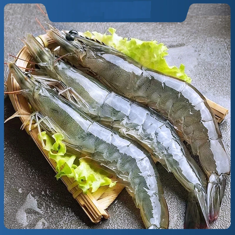 【粉丝专享】2030厄瓜多尔 大虾 海鲜大虾 鲜活速冻 1.65kg/盒