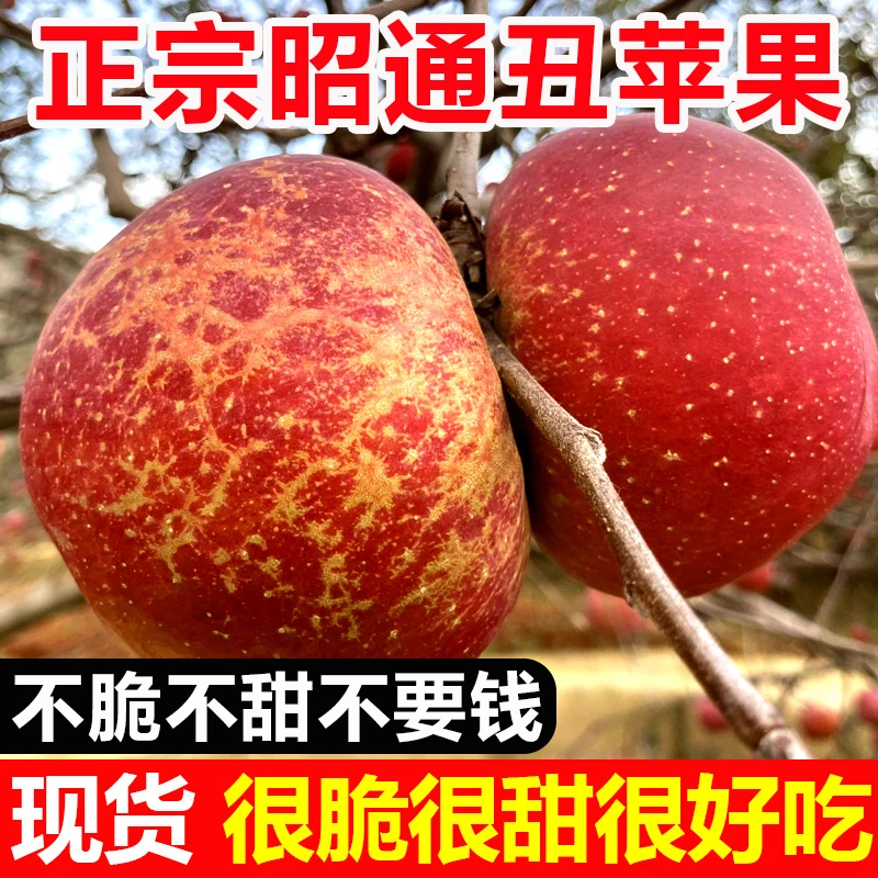 云南昭通丑苹果冰糖心苹果水果新鲜整箱当季10斤红富士脆甜现货