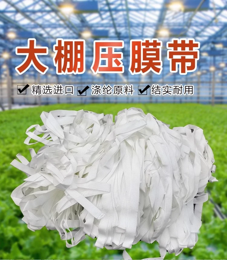 大棚压膜带压膜绳压膜线高强度涤纶丝白色抗老化温室大棚压膜绳